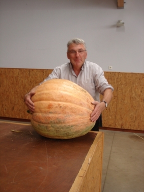 Courge Les Vergers retrouvés du Comminges