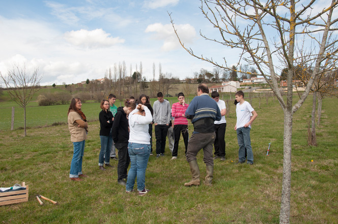 Activités 2013 Les Vergers retrouvés du Comminges