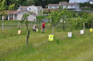 Partenariat Lycée Agricole Saint Gaudens Les Vergers retrouvés du Comminges