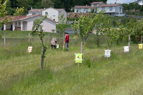 Activités 2013 Les Vergers retrouvés du Comminges