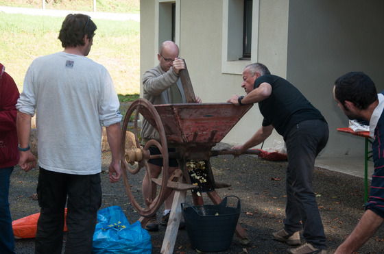 Activités 2014 Les Vergers retrouvés du Comminges