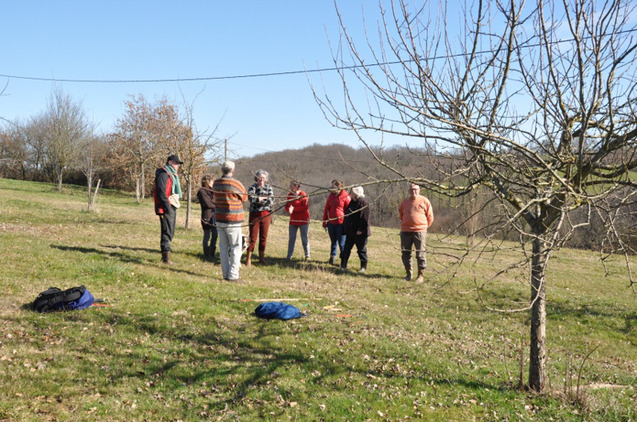 Activités 2013 Les Vergers retrouvés du Comminges