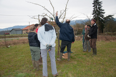 Activités 2014 Les Vergers retrouvés du Comminges