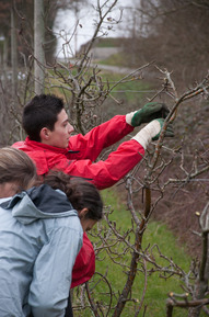 Activités 2014 Les Vergers retrouvés du Comminges