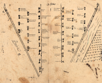 Etude Plans Verger Thèbe Les Vergers retrouvés du Comminges