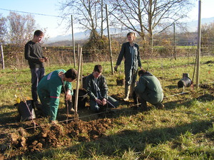 Partenariat Lycée Agricole Saint Gaudens Les Vergers retrouvés du Comminges