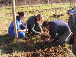 Partenariat Lycée Agricole Saint Gaudens Les Vergers retrouvés du Comminges