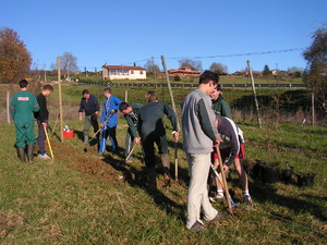 Partenariat Lycée Agricole Saint Gaudens Les Vergers retrouvés du Comminges