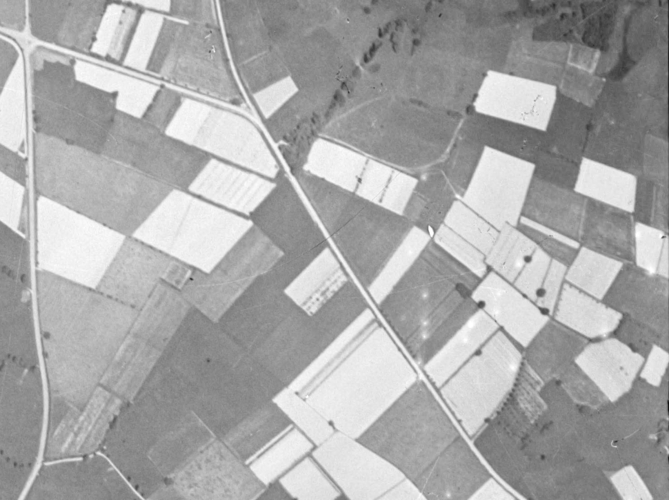 1942 Vergers Sarrat Les Vergers retrouvés du Comminges