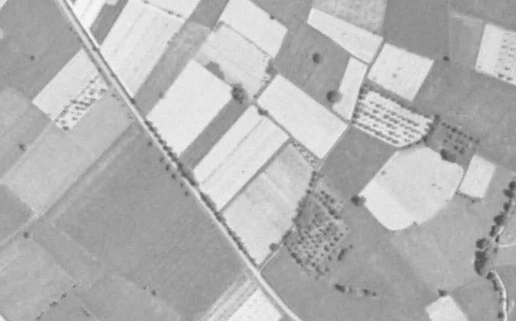 1953 Vergers Sarrat Les Vergers retrouvés du Comminges