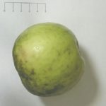 Charam