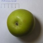 Massoucade