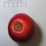 Pomme de Mauvezin