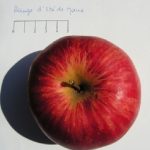 Rouge d’été de Mane