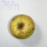 Pomme de Montsaunès